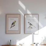 Bird House By Pontanegraazores Holiday home Altares