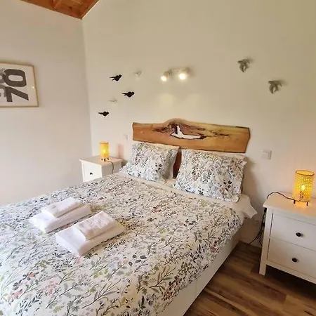 Bird House By Pontanegraazores * Altares