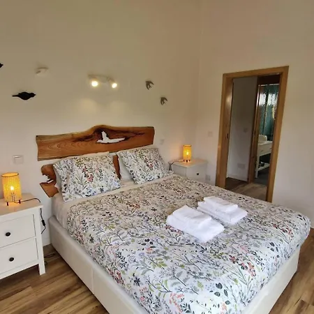 Bird House By Pontanegraazores Casa de Férias *